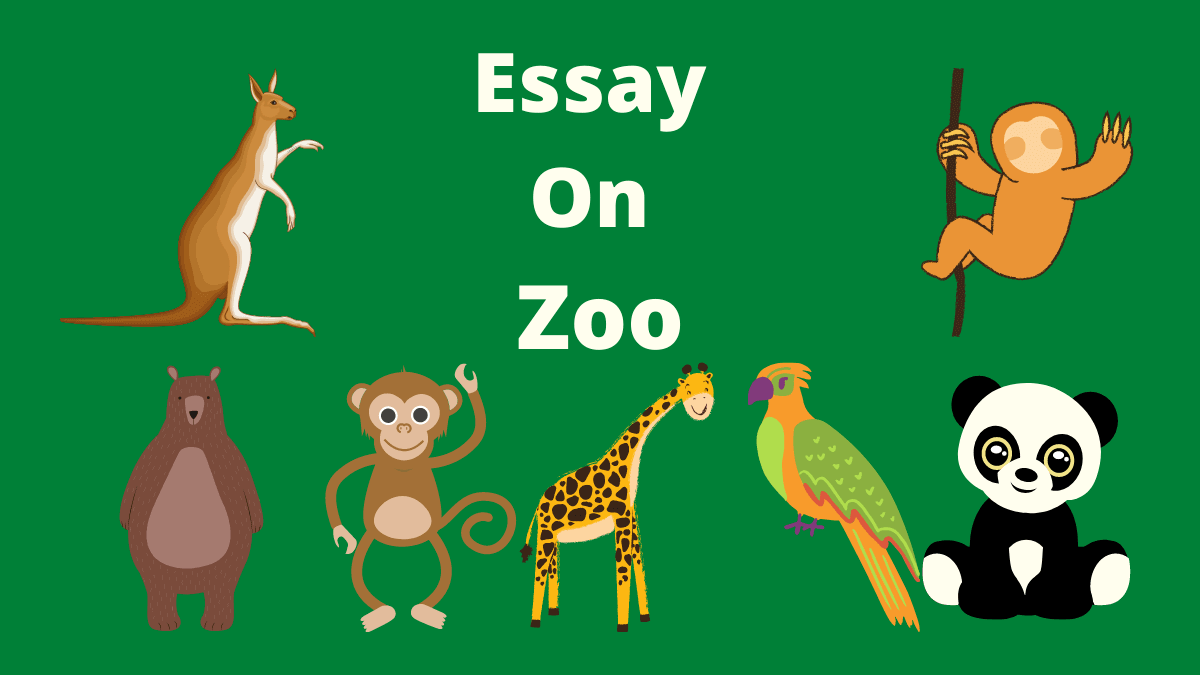 Essay On Zoo | Zoo Essay for Students in English