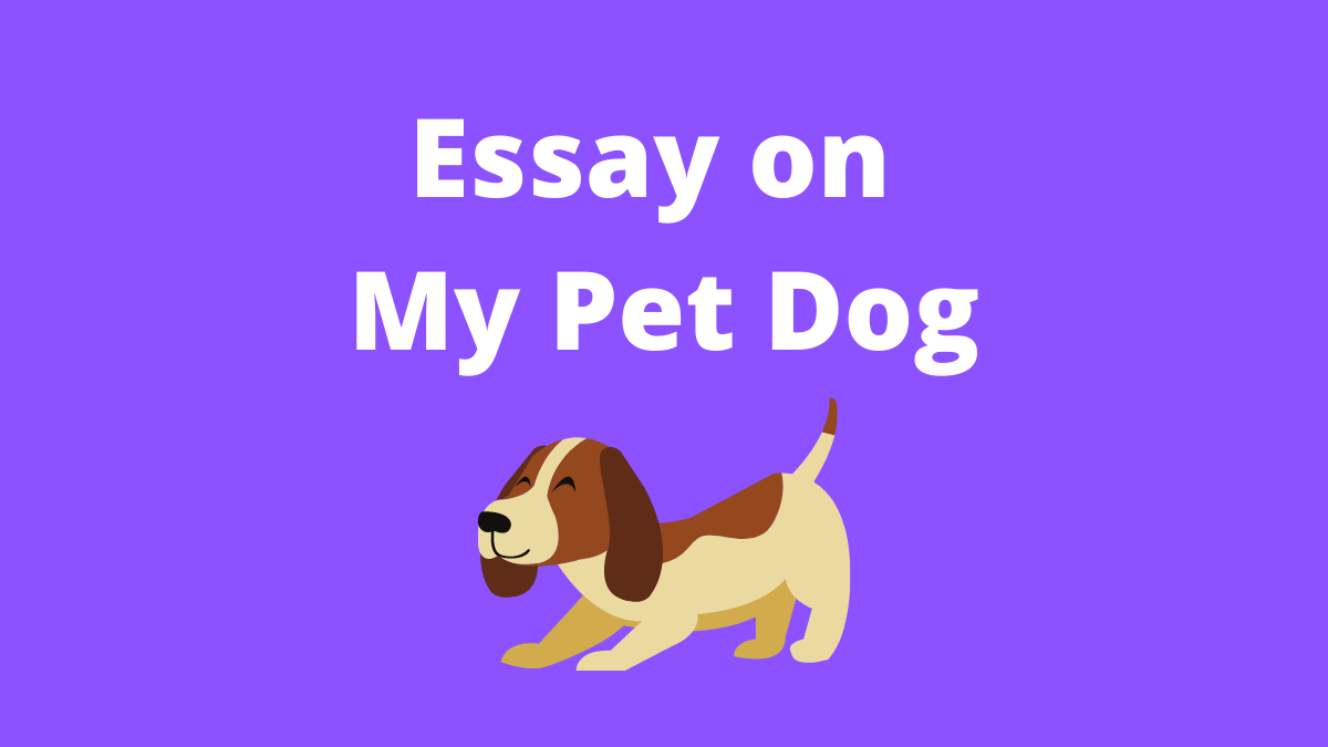 Essay on My Pet Dog | My Pet Dog Essay for Students in English