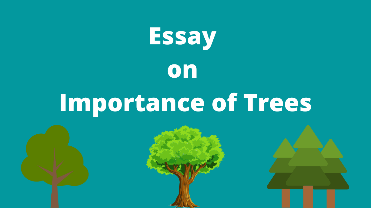 Importance of Trees Essay for Students and Children in English