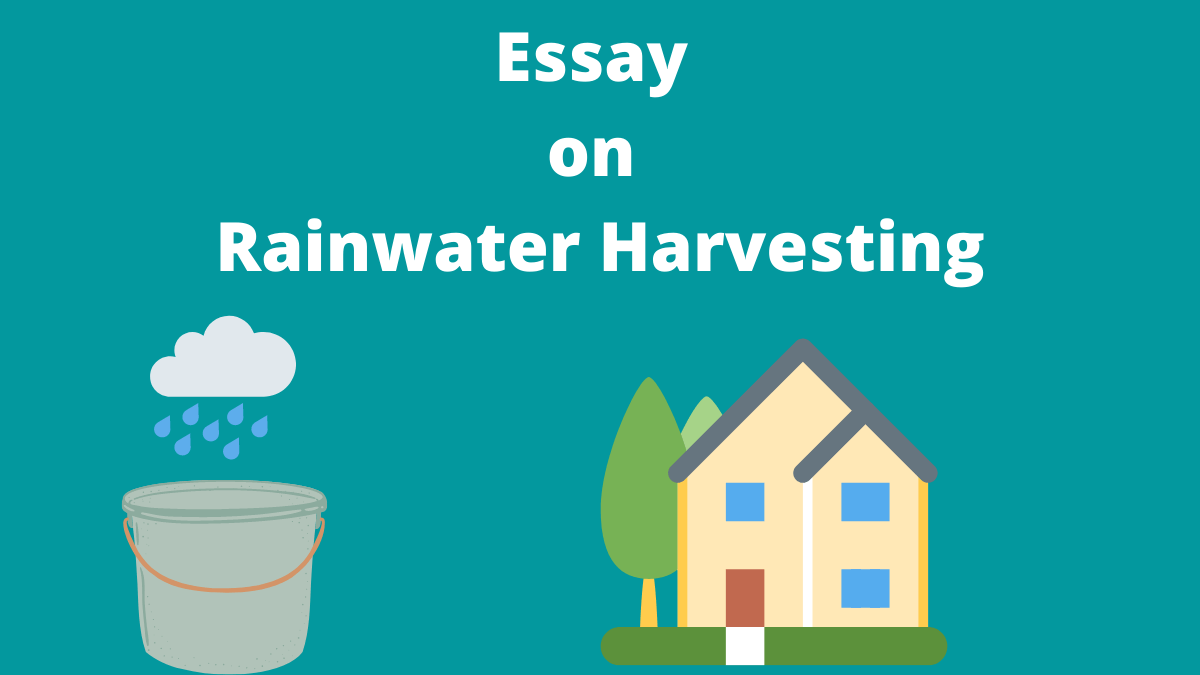 Essay on Rainwater Harvesting in English