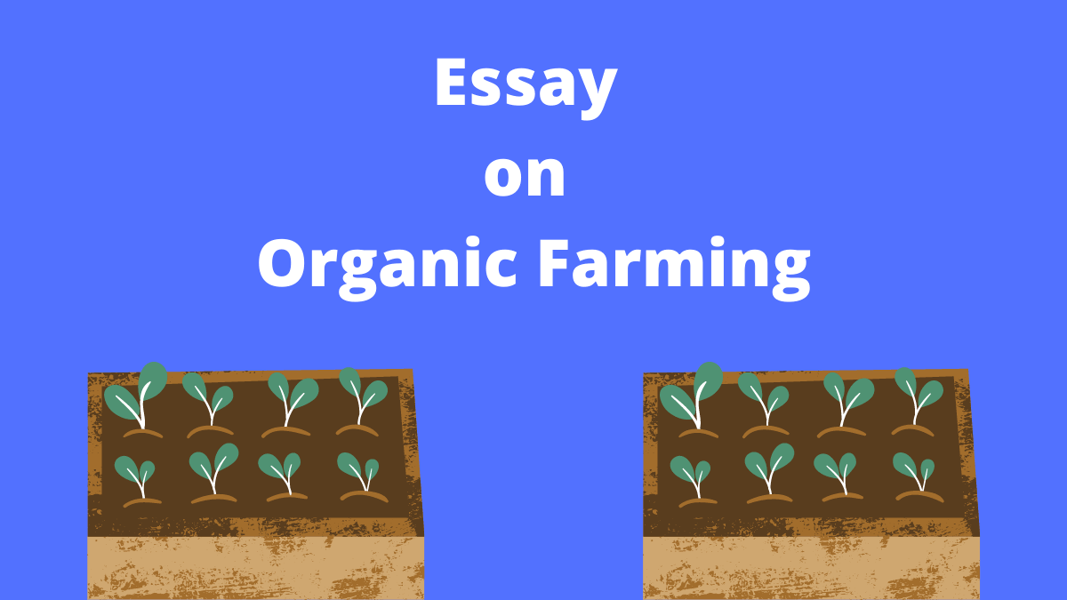 Essay on Organic Farming in English